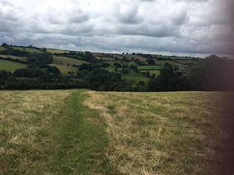 LOVES HILL CAMPING (Timsbury) - Campground Reviews & Photos - Tripadvisor