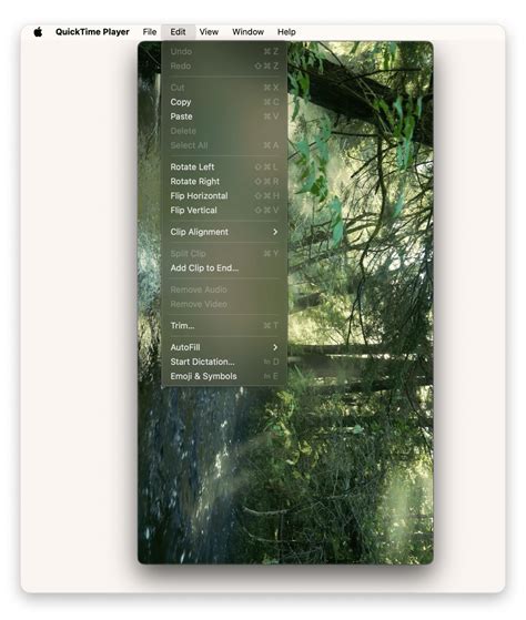 How to rotate a video on Mac (quick, free & pro methods)