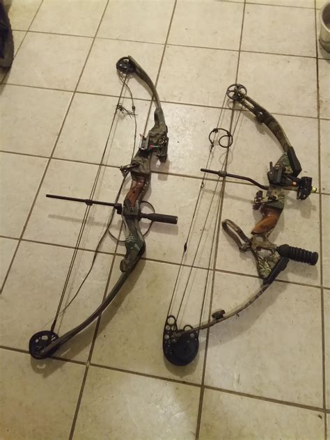 Martin Lynx Compound Bow