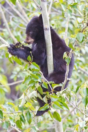 Alpine Art Eco Tours (Jasper) - 2021 What to Know Before You Go (with ...