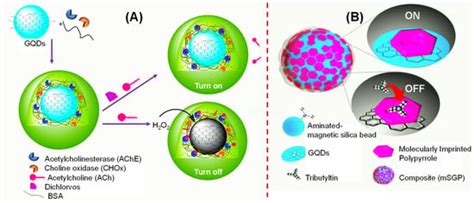 Applications of Graphene Quantum Dots in Biomedical Sensors