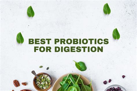 Best Probiotics for Digestion - Improve Digestive Health and Nutrient ...