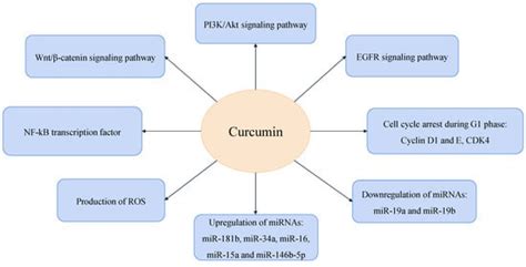 Curcumin Administration Routes in Breast Cancer Treatment