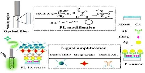Chemiluminescent Optical Fiber Immunosensor Combining Surface ...