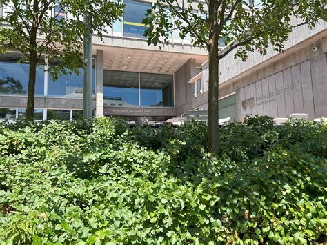 Home – CA – Harvard University Health Services