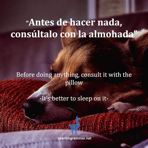 List of Professions and Job Titles in Spanish - Spanish Grammar