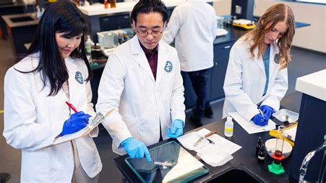 Image result for Team Based Learning Online