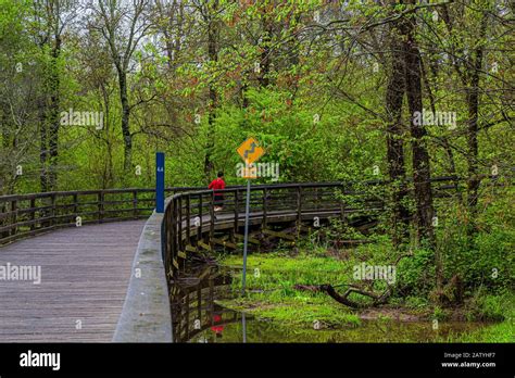 Runner Running around Curve 的图像结果