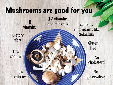 Benefits of adding mushrooms to your diet | Kigali Farms