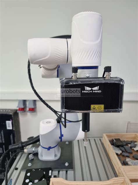 Sel Pengambil Bin Tingkat Lanjut dengan Kamera 3D MechMind dan robot ...