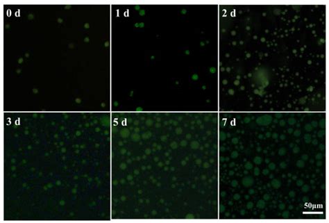 The Preparation of Novel P(OEGMA-co-MEO2MA) Microgels-Based ...