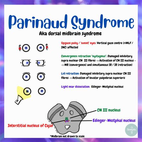 Sindrome De Parinauds Palpebral Conjunctivitis And Preauricular