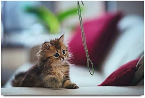 ezyPRNT Cute Kitty Printed Wall Poster (Size: 18x12 inch) : Amazon.in ...