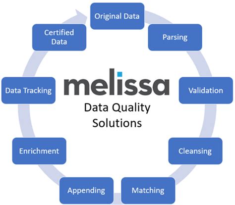 Image result for SQL Server 2019 Data Quality Client