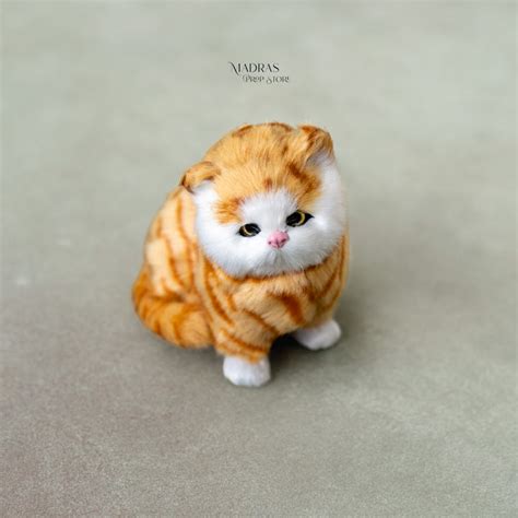 Realistic Animals & Birds – Madras Prop Store