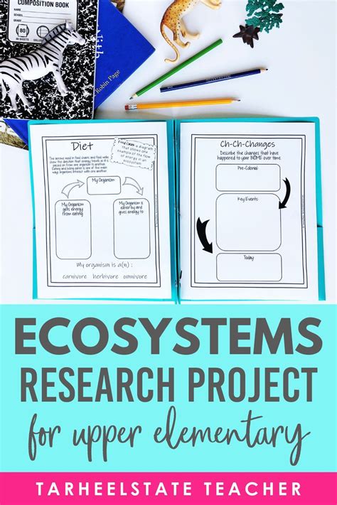Ecosystem Project 的图像结果