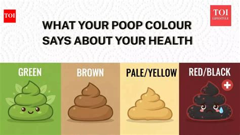 What your poop colour says about your health and risk of serious ...