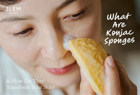 What Are Konjac Sponges? | Natural Japanese Cleansing Sponges