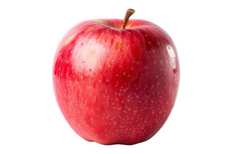 Image result for Apple Basic Programming Example