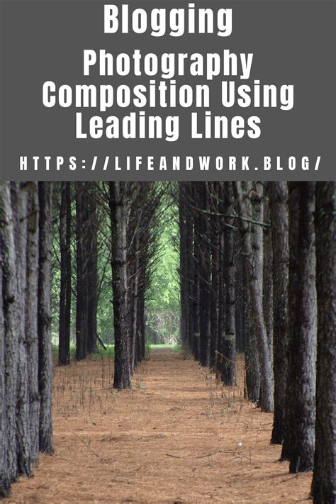 Leading Lines Examples 的图像结果