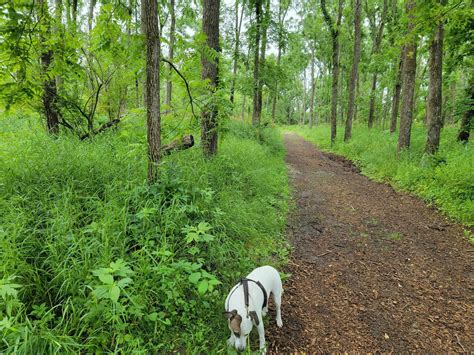 Morgan Creek Park Loop - Iowa | AllTrails