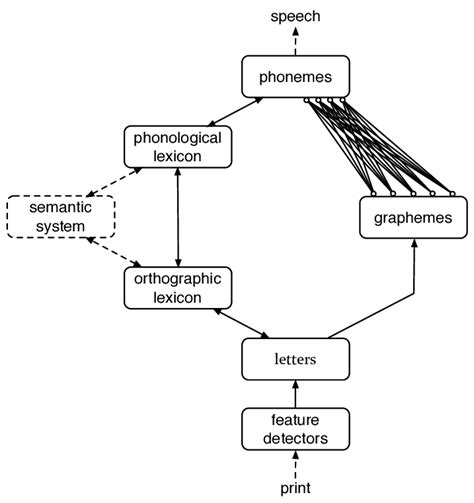 CDP Languages 的图像结果
