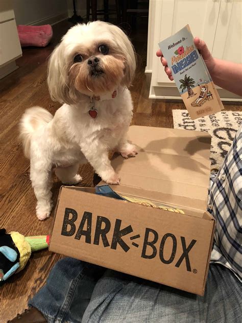 BarkBox Review: Is BarkBox Worth It? See What's Included