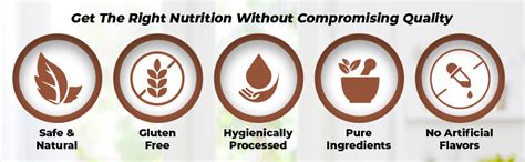 Dry Fruit Hub Aloo Bhukara Dried Plum 400gm Dried Plum in Dry Fruits ...