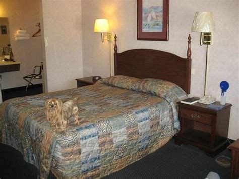 AMERICOAST INN (Brookings) - Hotel Reviews, Photos, Rate Comparison ...