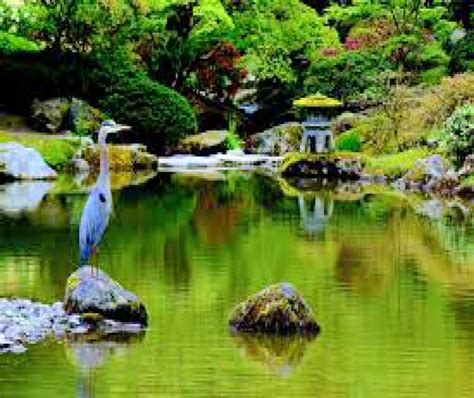 Japanese Garden, Goa: Best sunset point | LBB Goa