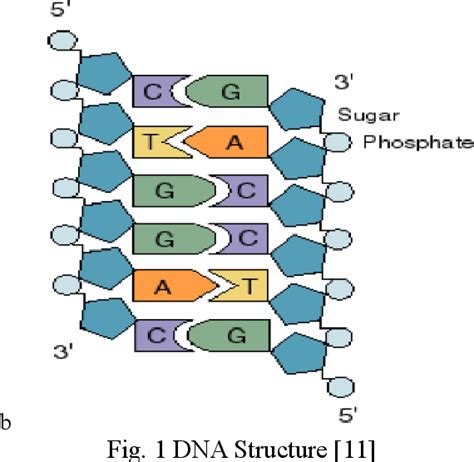 Labels KeyShot 的图像结果