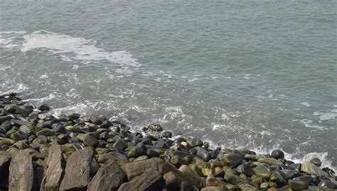 SEA VIEW PARK (2026) All You Need to Know BEFORE You Go (with Photos ...