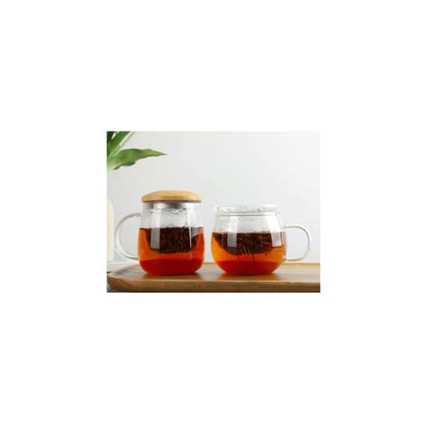 Buy HOVOL Tea Mug with Infuser and Lid - 13.5oz Heat Resistant ...