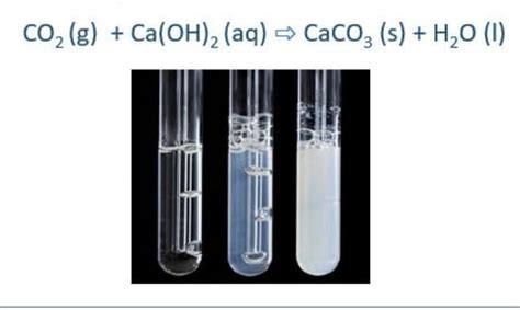 Diagram of standard test of carbon dioxide - Brainly.in