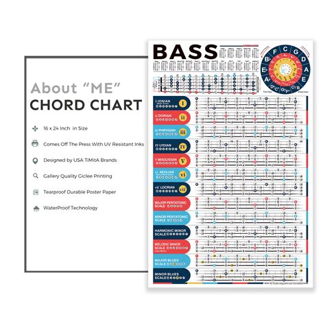 Buy Bass Scales Chart Poster for Beginners, Master Bass Guitar ...