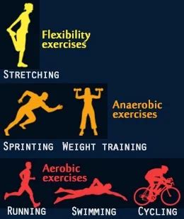 Different Exercise 的图像结果