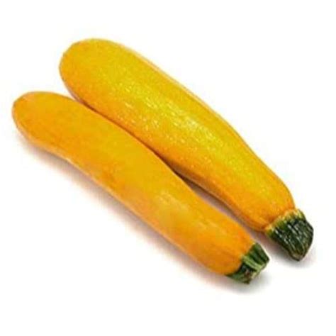 Fresh Zucchini, Yellow, Waste, 1 kg : Amazon.in: Grocery & Gourmet Foods