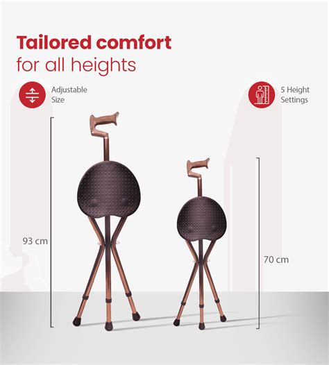 Buy Walk & Rest Walking Stick Chair at Best Price - AGEasy
