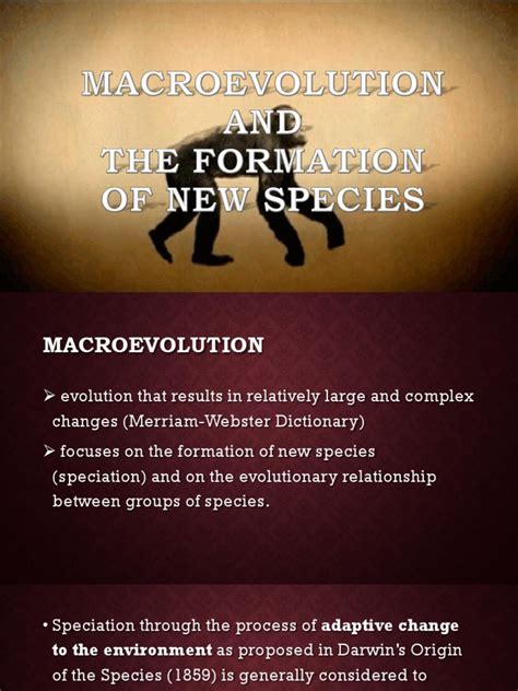 Image result for Macroevolution Fossils