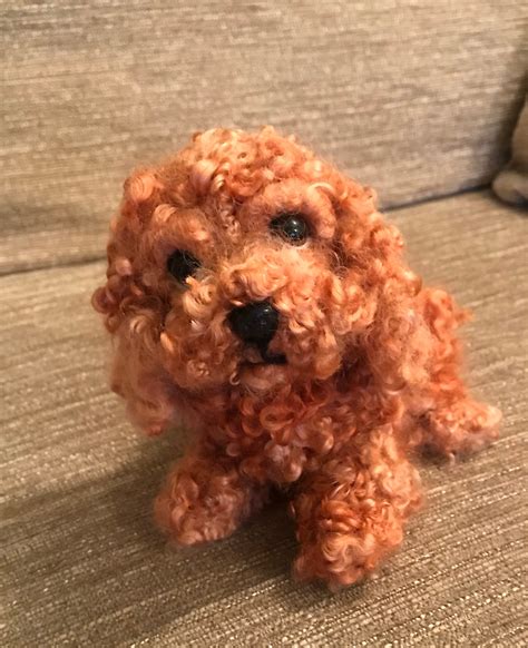 Image result for Miniature Cockapoo
