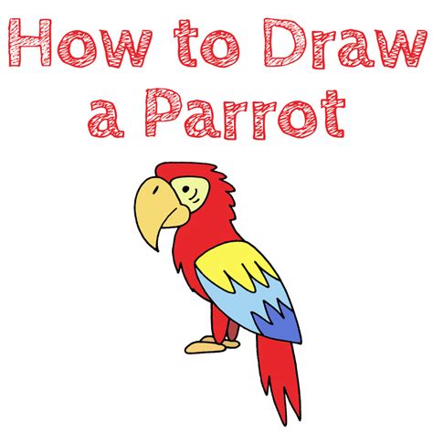 Image result for How to Draw Simple Parrot