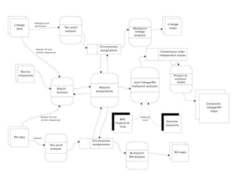 How to Do a Data Map 的图像结果