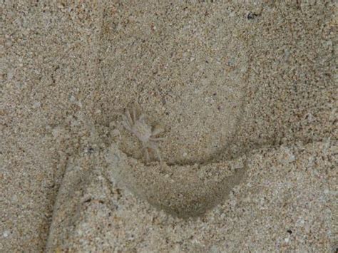 𝗧𝗛𝗘 𝟭𝟬 𝗕𝗘𝗦𝗧 Hotels in Kavieng of 2024 (with Prices)