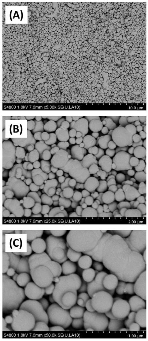 An In Vitro Model to Assess Early Immune Markers Following Co-Exposure ...