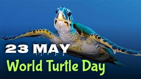 World Turtle Day 2022 observed on 23rd May Every year.