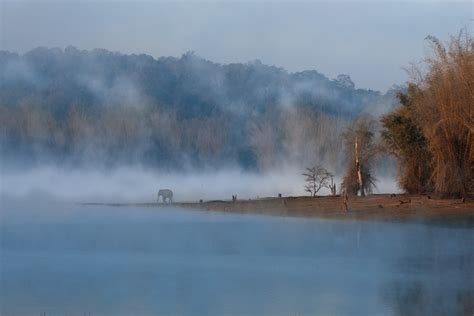 A Forest In 12 Frames - slide11 | Nature inFocus