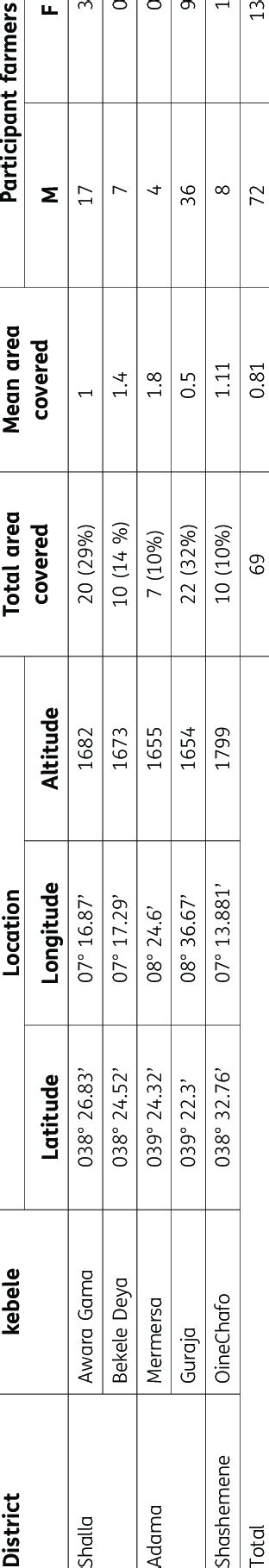 Image result for Environment Diffuse Scale Demonstration