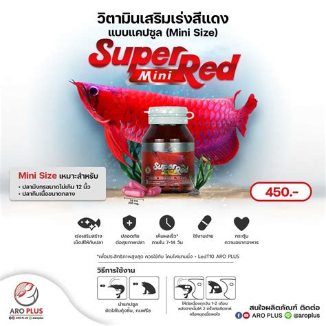 ARO PLUS | LINE SHOPPING