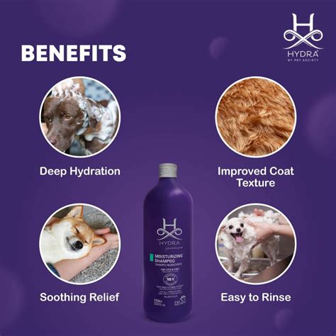 How to Groom a Shih Tzu: Step-by-Step Guide – ABK Grooming