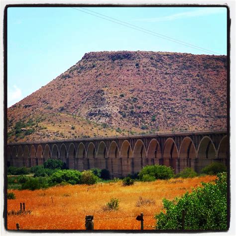 Indigenous Bridges: History, Design, and Sustainability